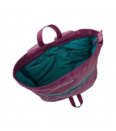Backpack Patagonia Arbor Market Pack 15L