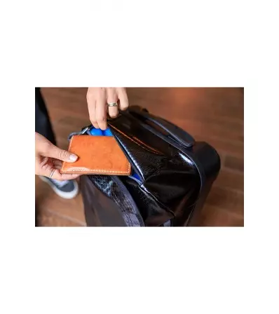 Gregory Alpaca Wheeled Duffle 40l