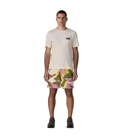 Patagonia Baggies Longs Shorts 7