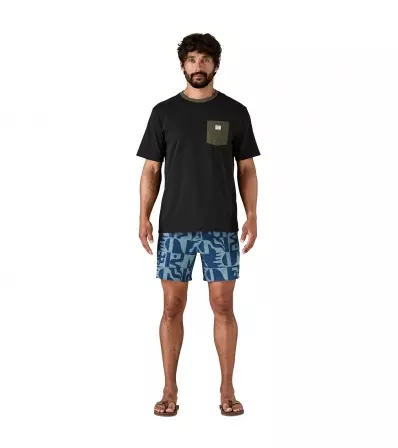 Шорти Patagonia Hydropeak Volley Shorts 16