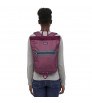 Backpack Patagonia Arbor Market Pack 15L