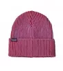 Beanie Patagonia Fisherman's Rolled