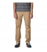 Patagonia Twill Traveler 5-Pocket Pants - Regular M's